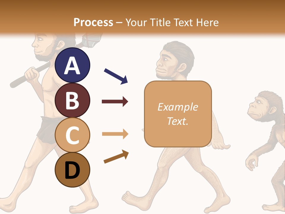 Human Evolution PowerPoint Template