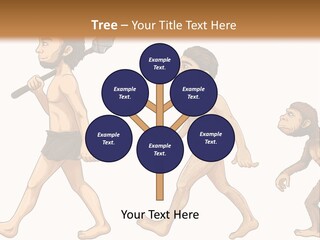 Human Evolution PowerPoint Template