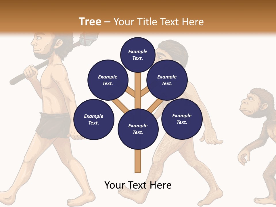 Human Evolution PowerPoint Template