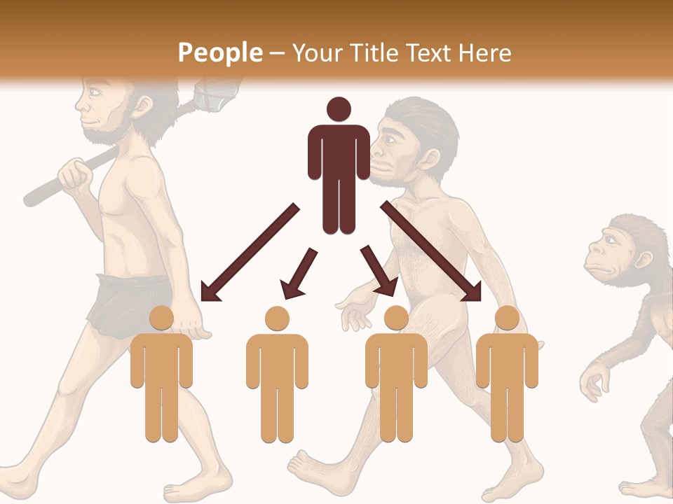 Human Evolution PowerPoint Template