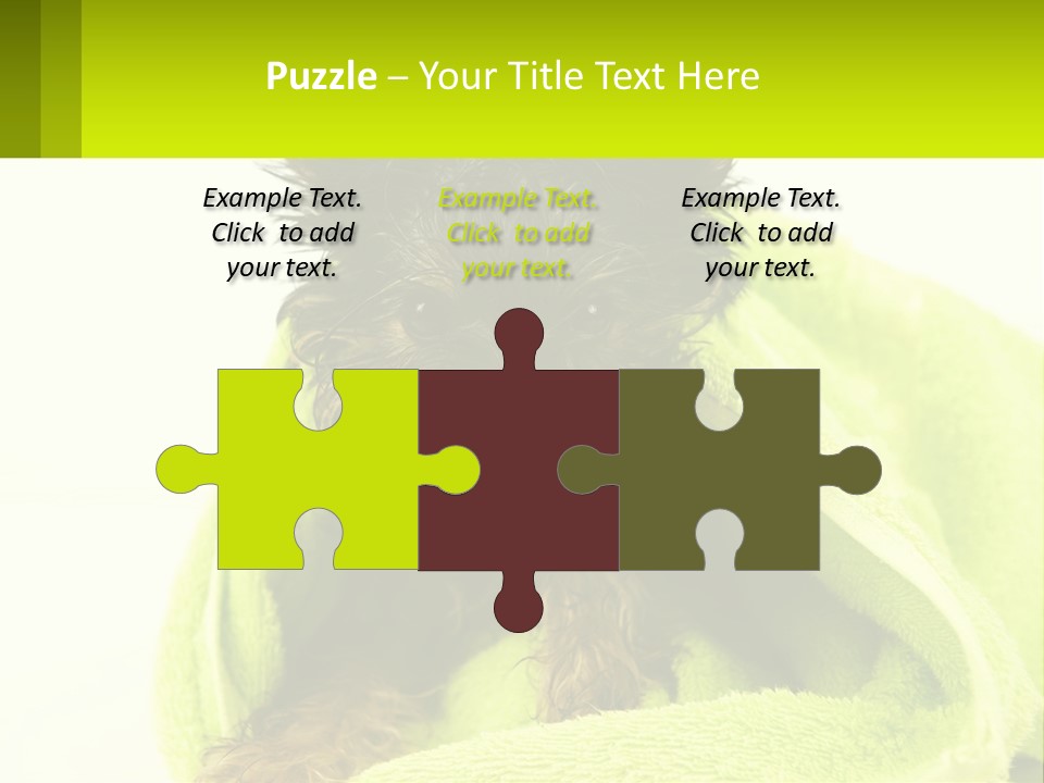 Dog After Bathing PowerPoint Template