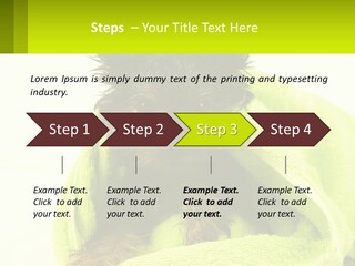 Dog After Bathing PowerPoint Template