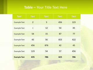 Dog After Bathing PowerPoint Template