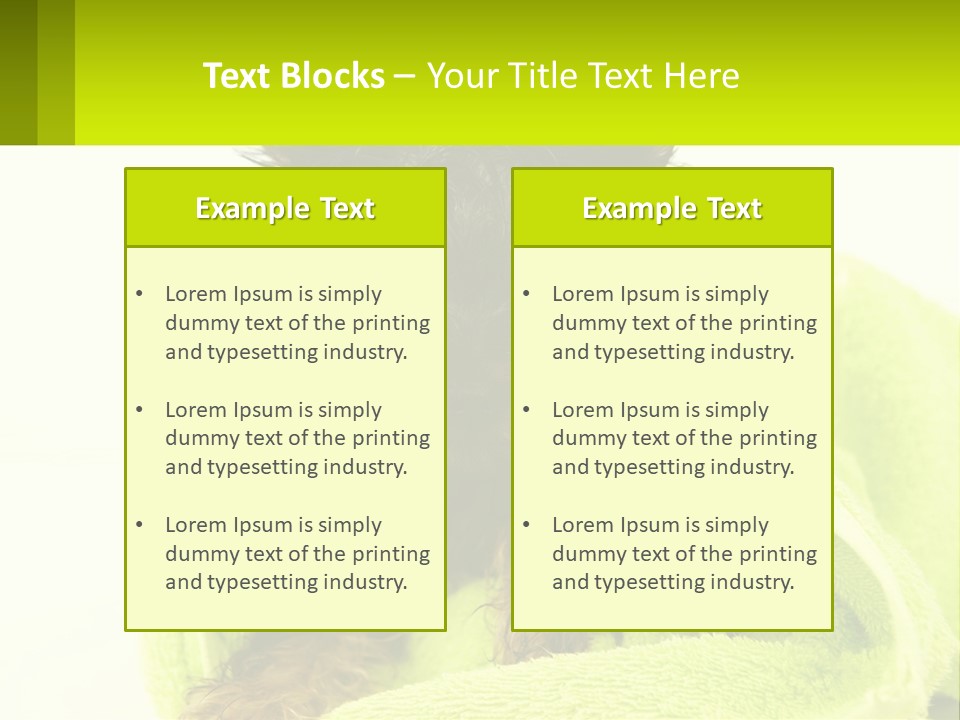 Dog After Bathing PowerPoint Template