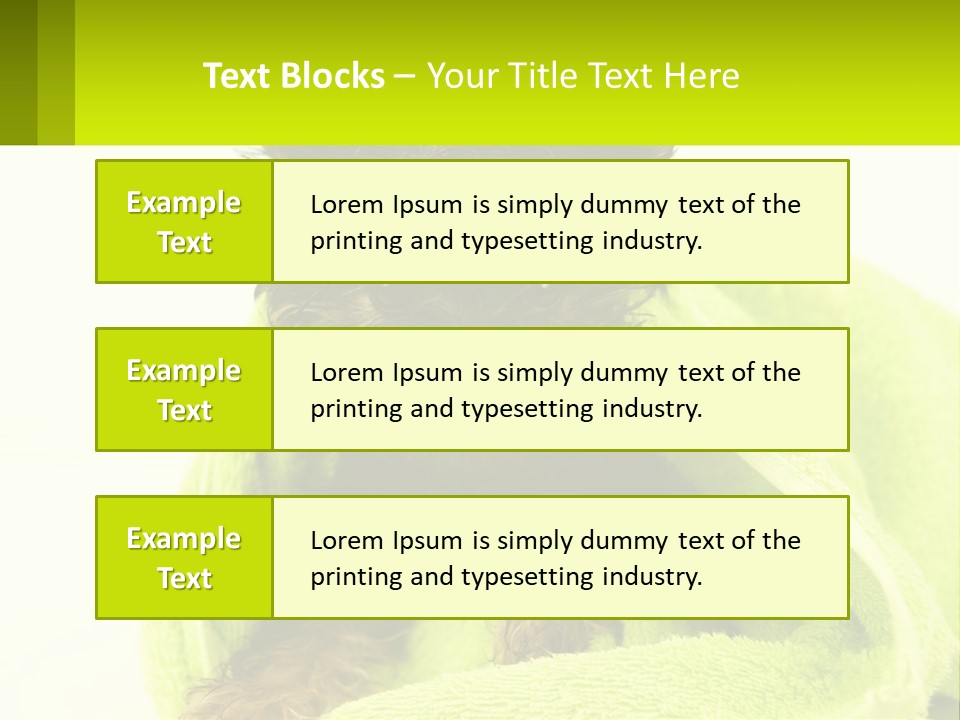 Dog After Bathing PowerPoint Template