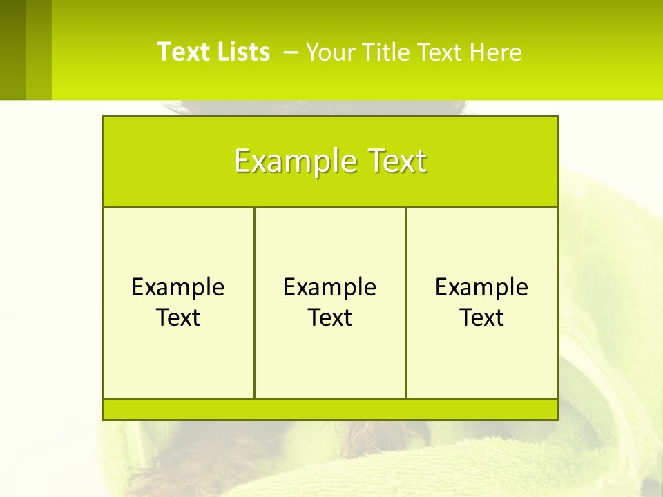 Dog After Bathing PowerPoint Template