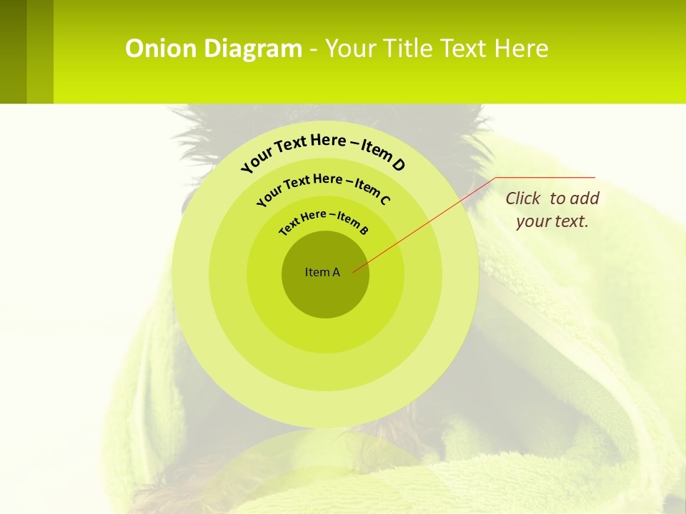 Dog After Bathing PowerPoint Template