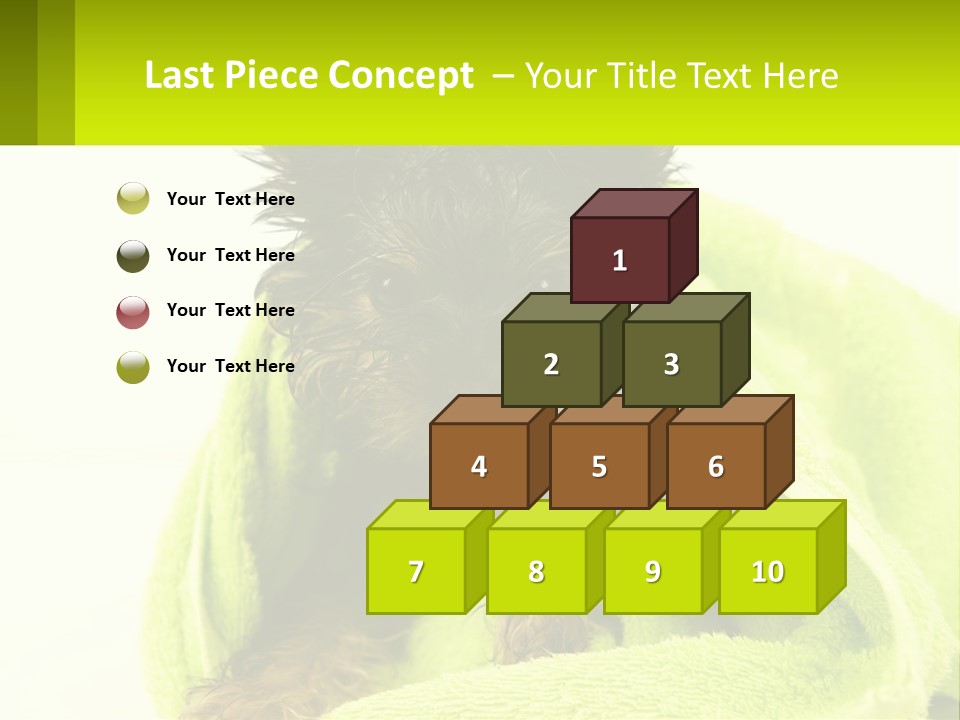 Dog After Bathing PowerPoint Template