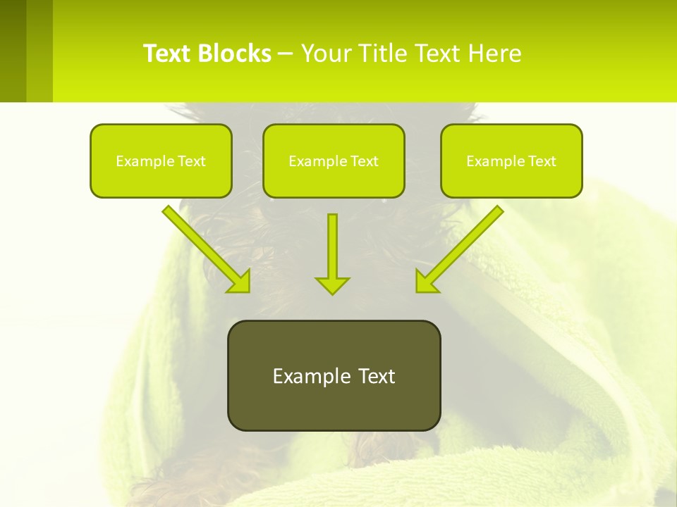 Dog After Bathing PowerPoint Template