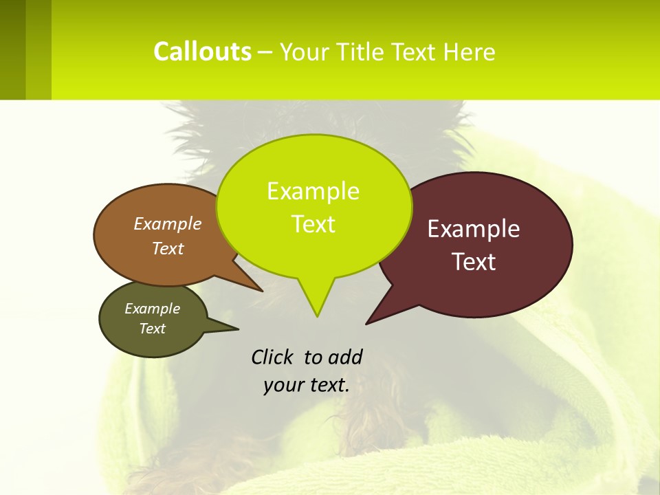 Dog After Bathing PowerPoint Template