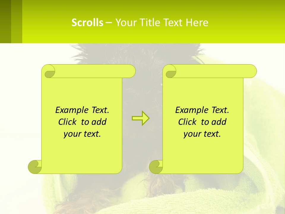 Dog After Bathing PowerPoint Template