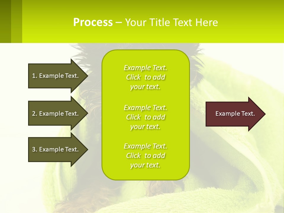 Dog After Bathing PowerPoint Template