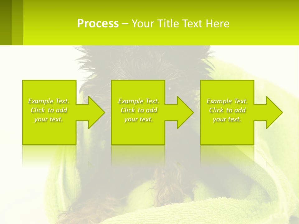 Dog After Bathing PowerPoint Template