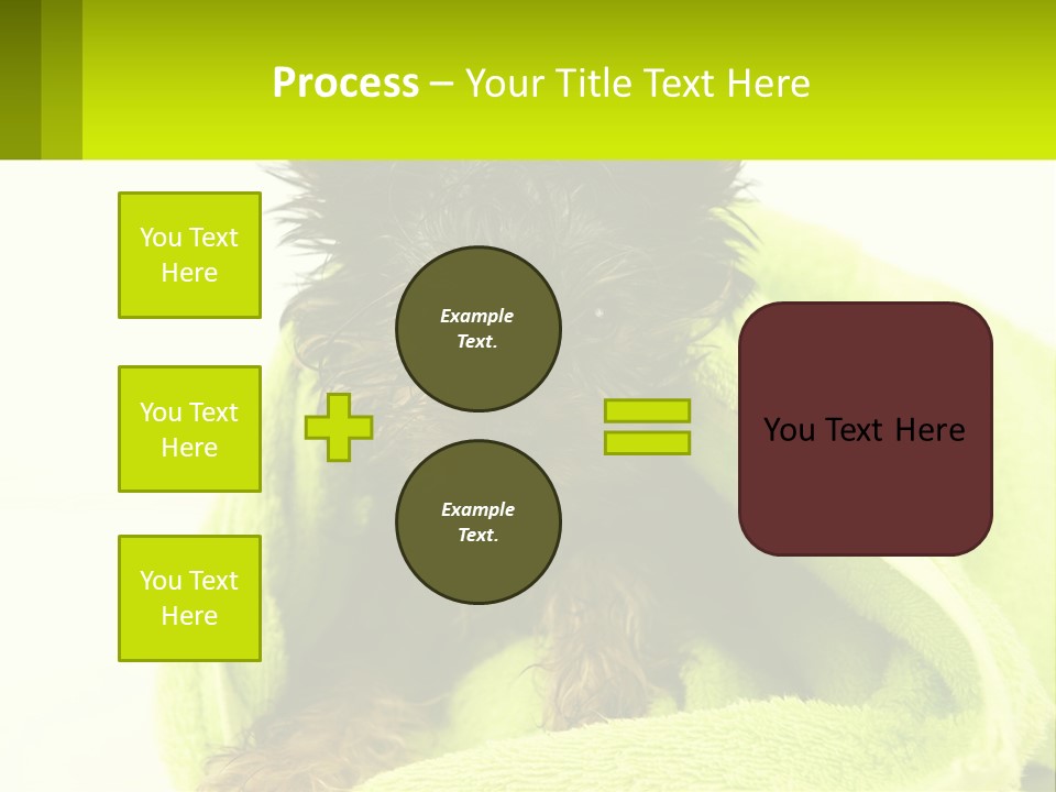 Dog After Bathing PowerPoint Template