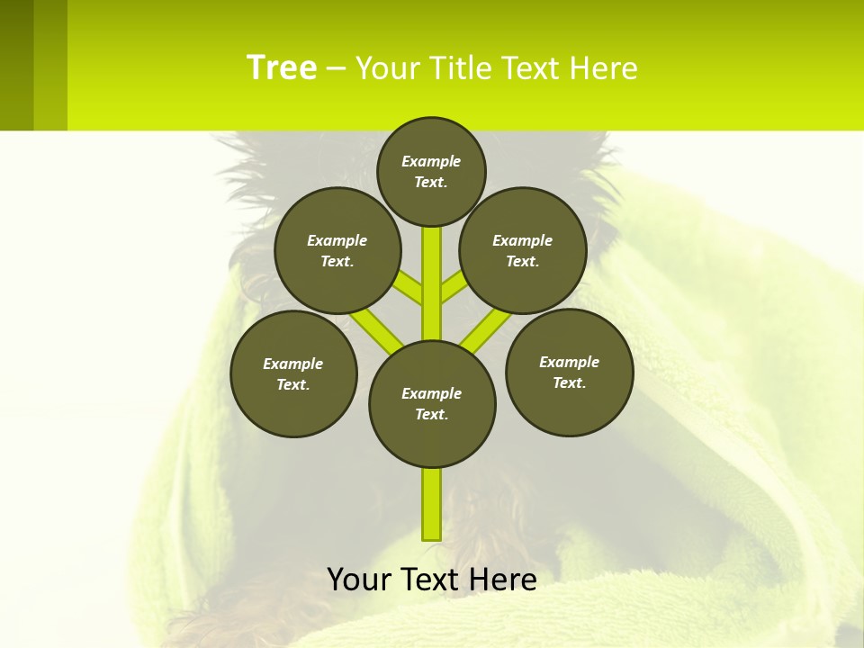 Dog After Bathing PowerPoint Template