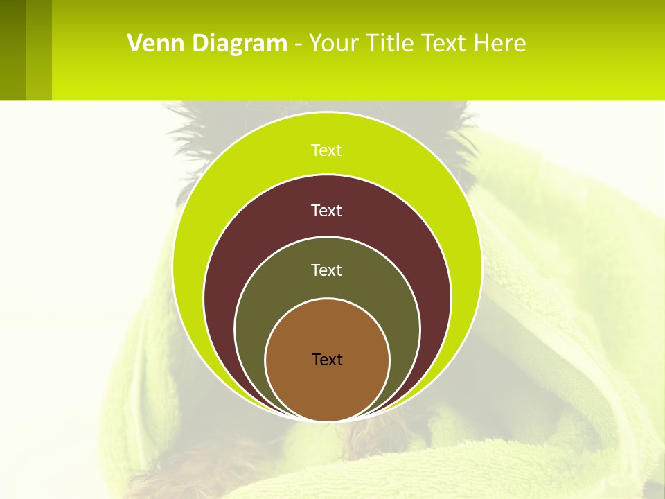 Dog After Bathing PowerPoint Template