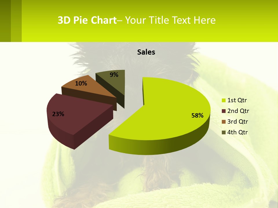 Dog After Bathing PowerPoint Template