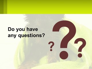 Dog After Bathing PowerPoint Template