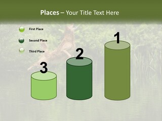 Dog Training PowerPoint Template