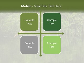 Dog Training PowerPoint Template