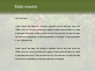 Dog Training PowerPoint Template