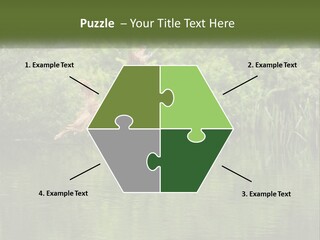 Dog Training PowerPoint Template