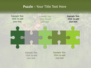 Dog Training PowerPoint Template