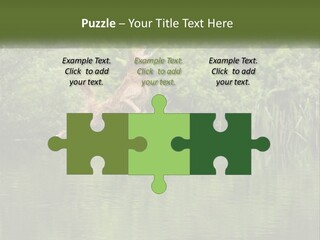 Dog Training PowerPoint Template