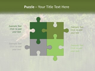 Dog Training PowerPoint Template