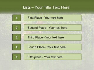 Dog Training PowerPoint Template