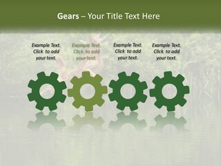 Dog Training PowerPoint Template