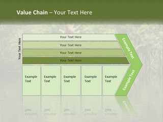 Dog Training PowerPoint Template