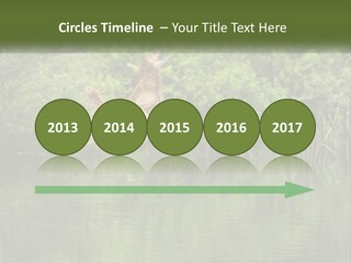 Dog Training PowerPoint Template