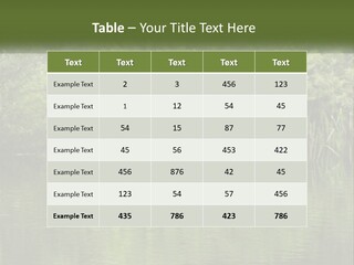 Dog Training PowerPoint Template