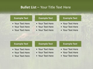 Dog Training PowerPoint Template