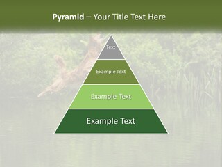 Dog Training PowerPoint Template