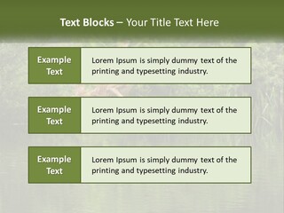 Dog Training PowerPoint Template