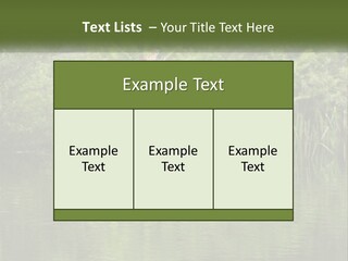 Dog Training PowerPoint Template