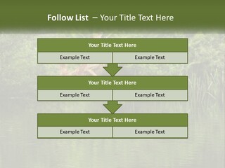 Dog Training PowerPoint Template