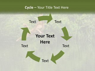 Dog Training PowerPoint Template