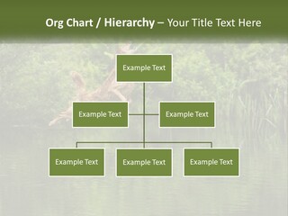 Dog Training PowerPoint Template