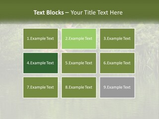 Dog Training PowerPoint Template