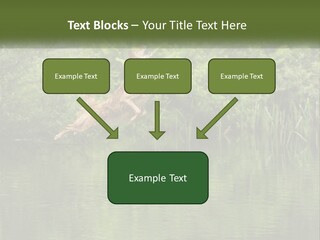 Dog Training PowerPoint Template