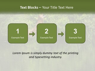 Dog Training PowerPoint Template