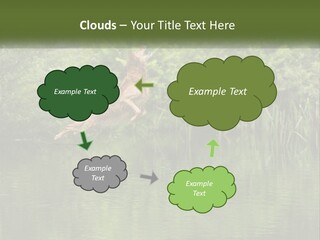 Dog Training PowerPoint Template