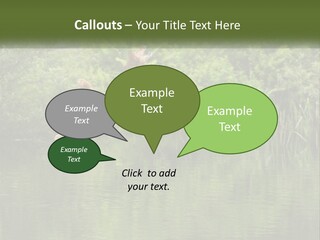 Dog Training PowerPoint Template