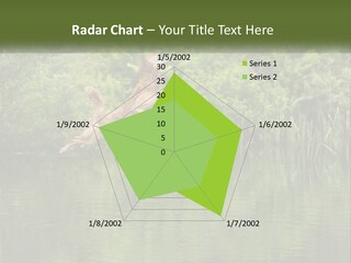 Dog Training PowerPoint Template