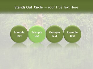 Dog Training PowerPoint Template