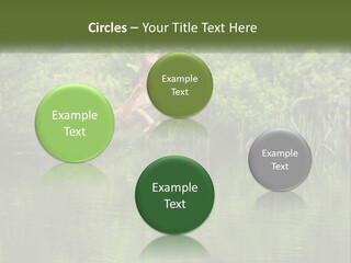 Dog Training PowerPoint Template