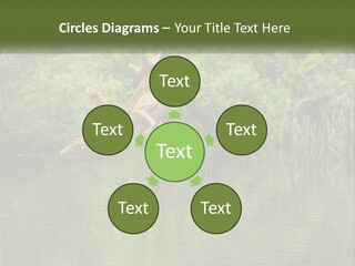 Dog Training PowerPoint Template